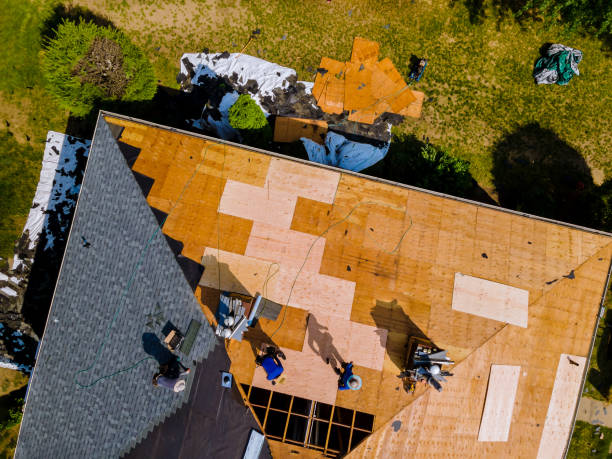 Roof Gutter Cleaning in Mountain View, NC