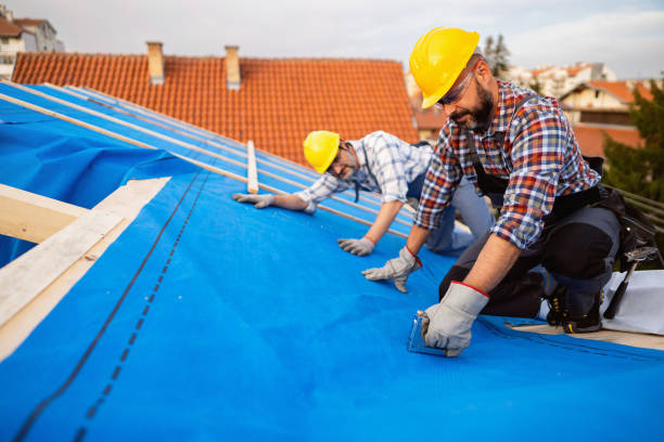 Roof Gutter Cleaning